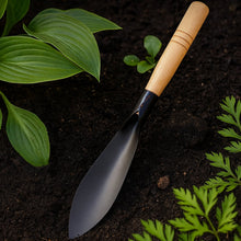 Heavy Duty Gardening Trowel with Wooden Handle (1 Pc)